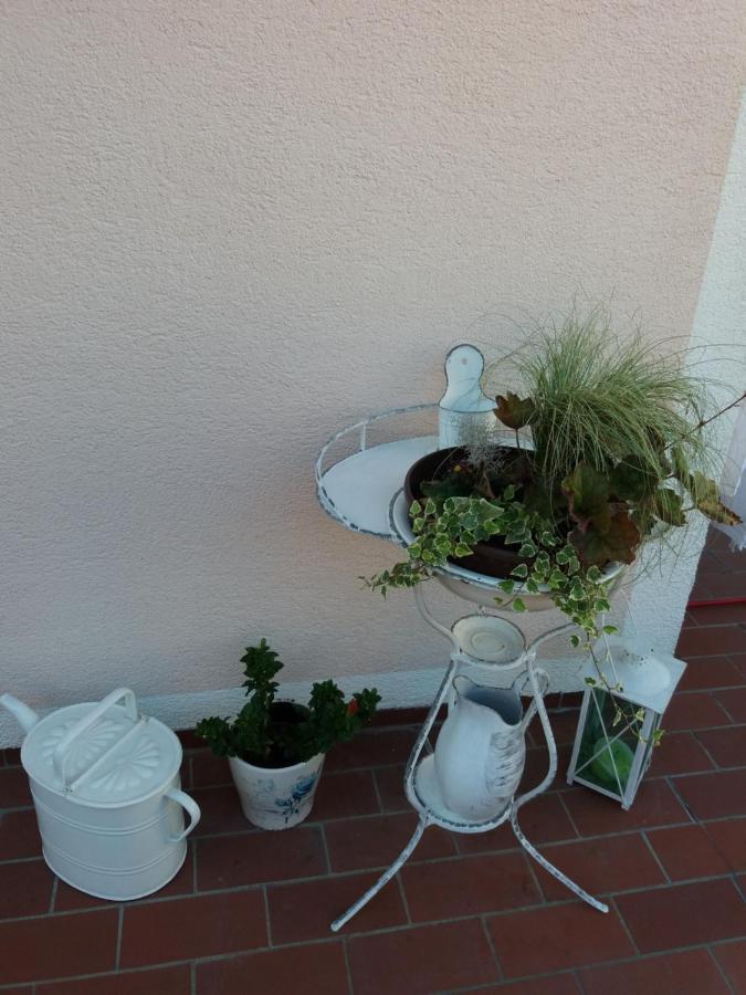 Wohnung Mit Charme In Pinsdorf Extérieur photo