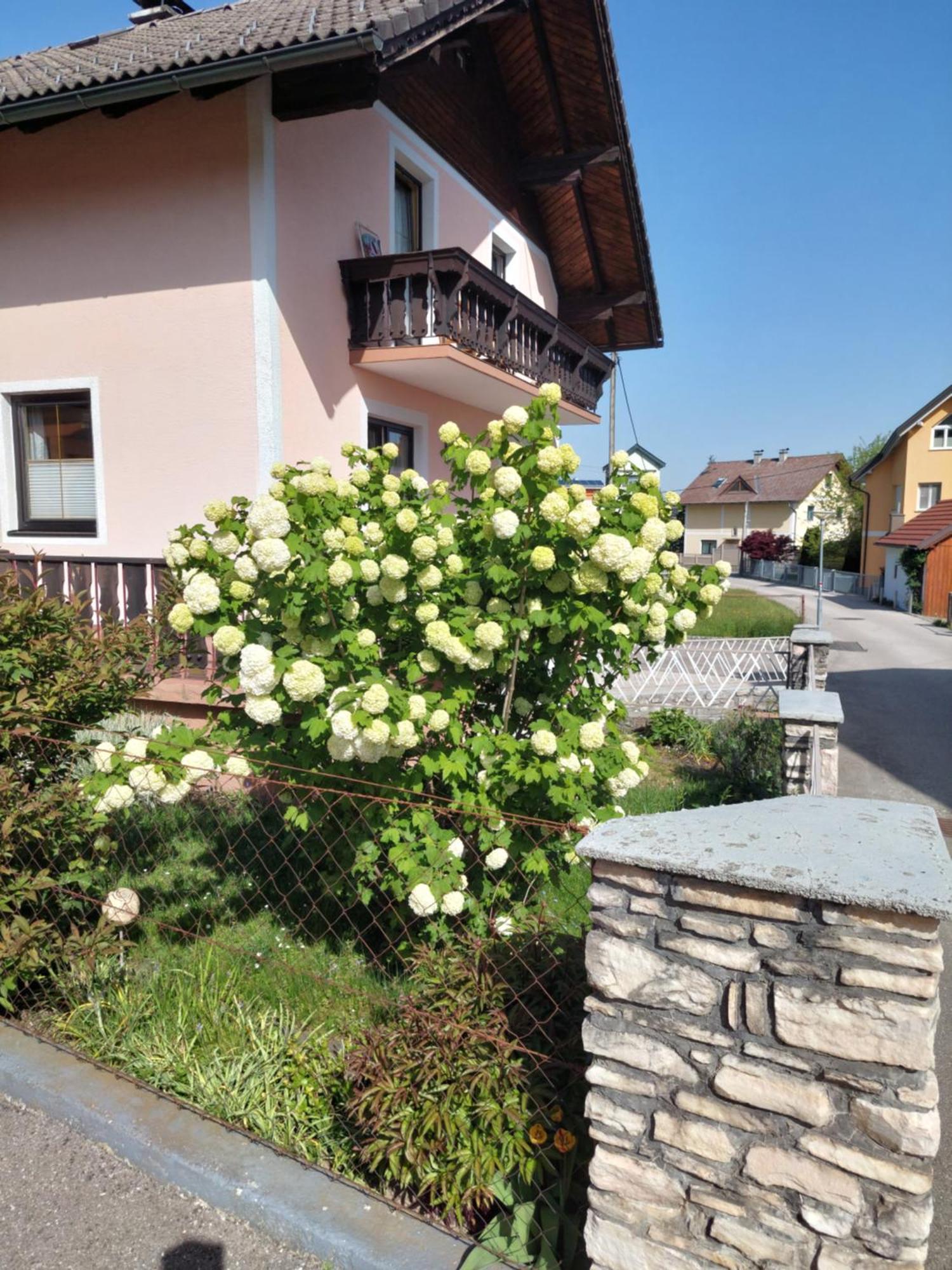 Wohnung Mit Charme In Pinsdorf Extérieur photo